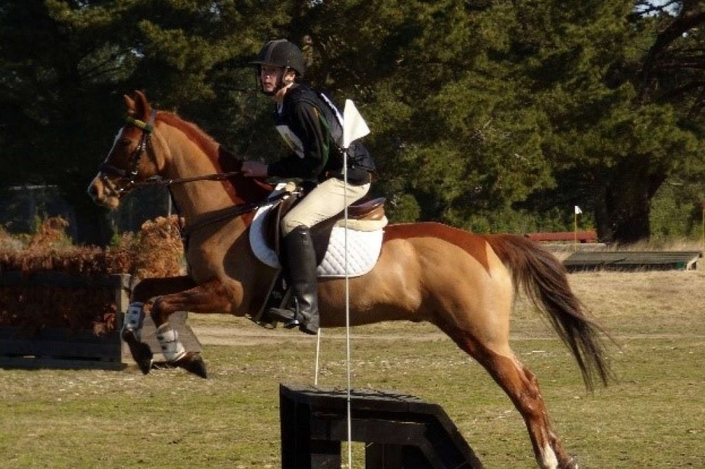 乗馬　ニュージーランド　 NZ horse riding