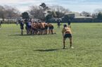 NZ rugby ラグビー ニュージーランド