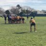 NZ rugby ラグビー ニュージーランド