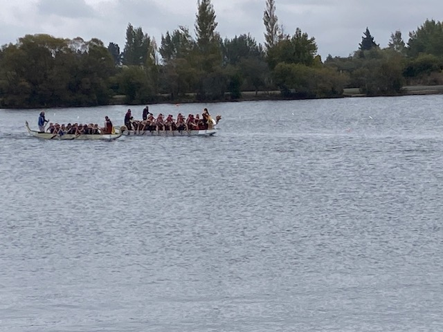 ニュージーランド NZ ドラゴンボーティング ドラゴンボート